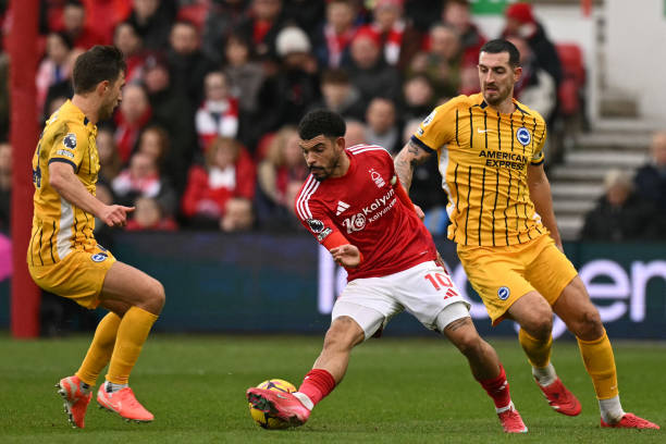 了比赛胜负 了比赛胜负