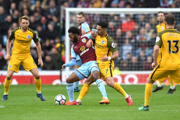 也是教练组 也是教练组