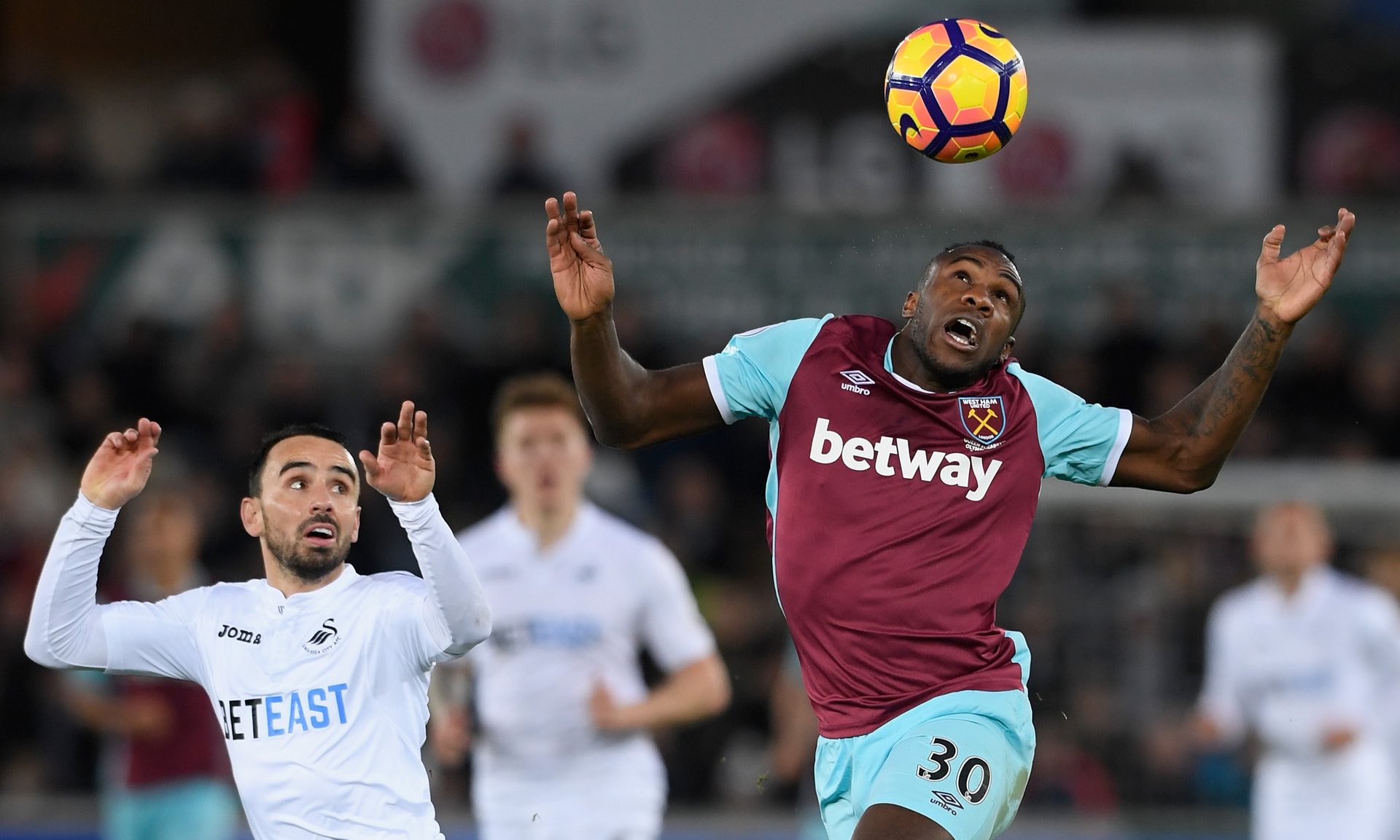 正如她所言 正如她所言